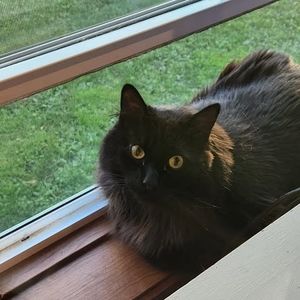 Meet your Posher, Barb